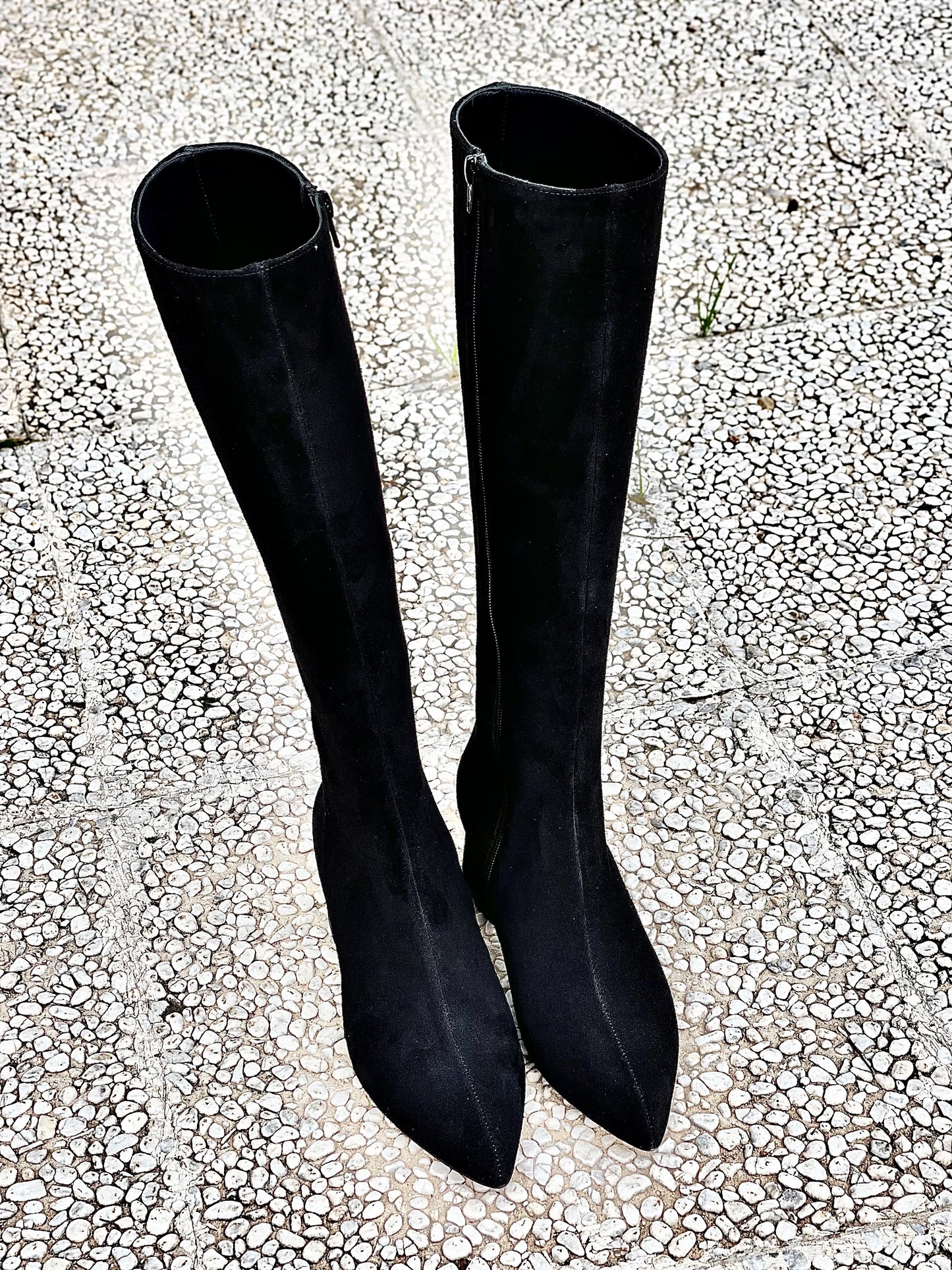 BOLIVIA BLACK SUEDE