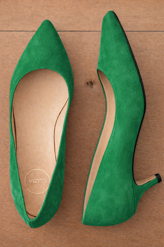 ANSEL DE CAMOSO VERDE