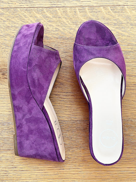 VENUS ANTE MORADO