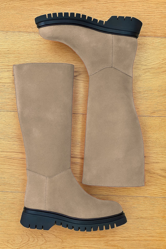 DAIM GRIS TOURTERELLE