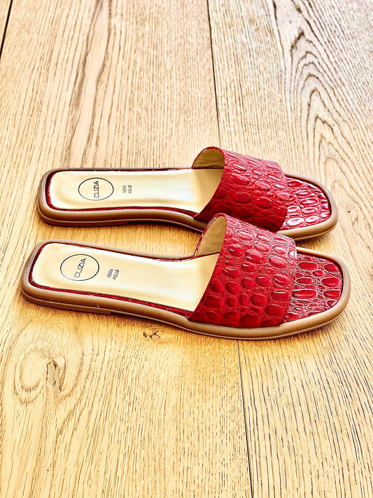 NOIX DE COCO ROUGE BAKU