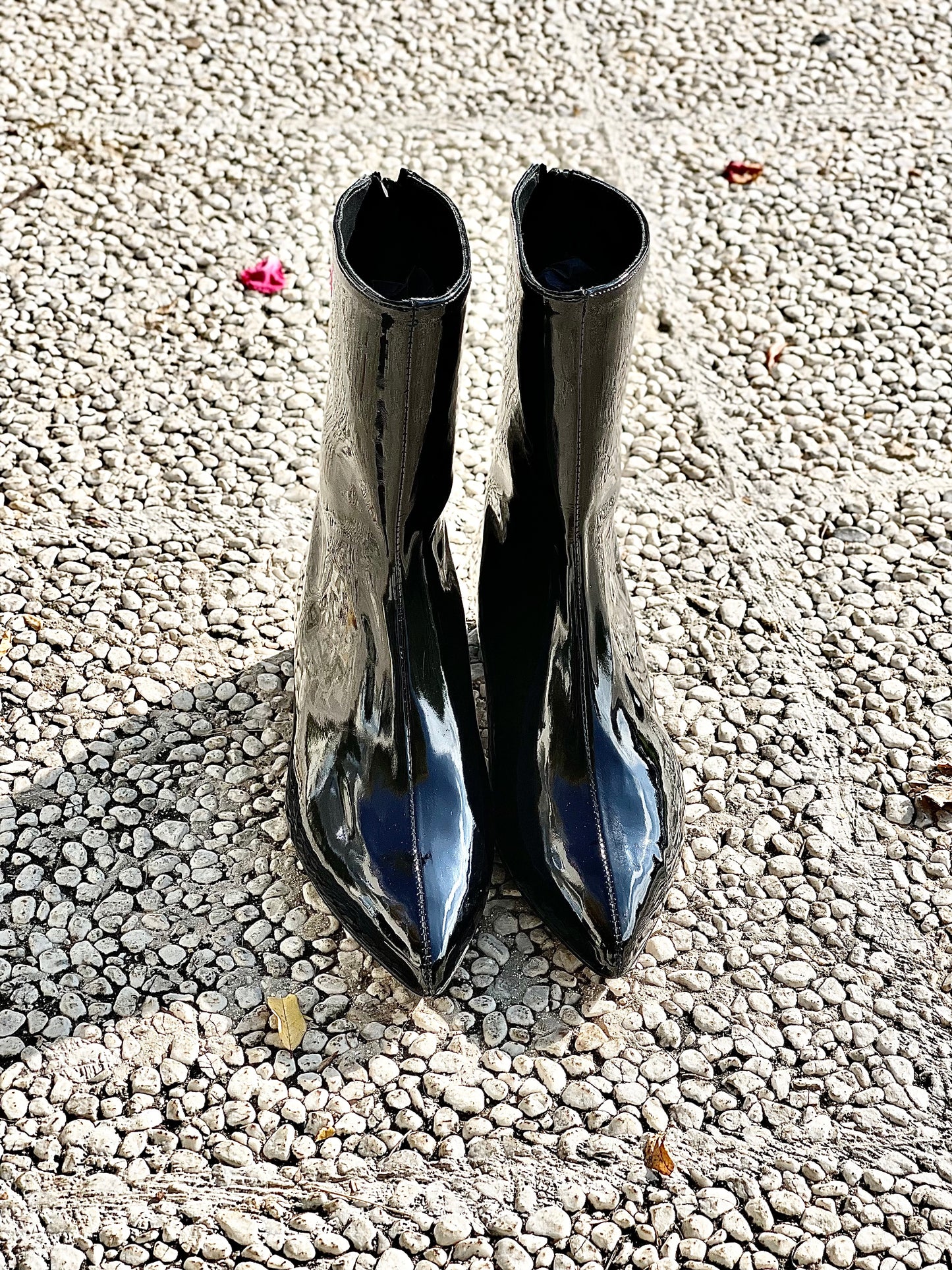 PEINTURE NOIRE DE LA PLANÈTE