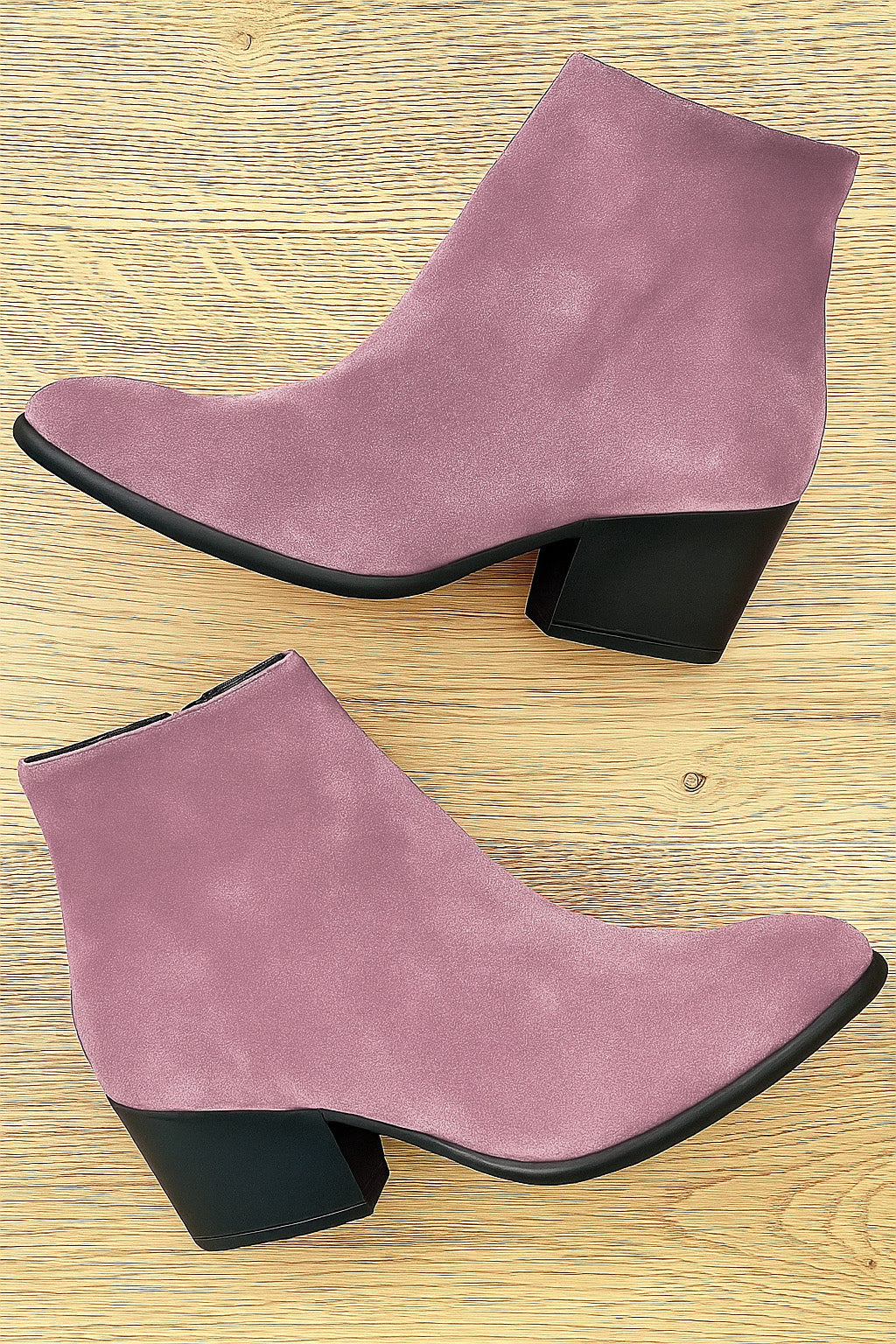 ELISABET LILA SUÈDE