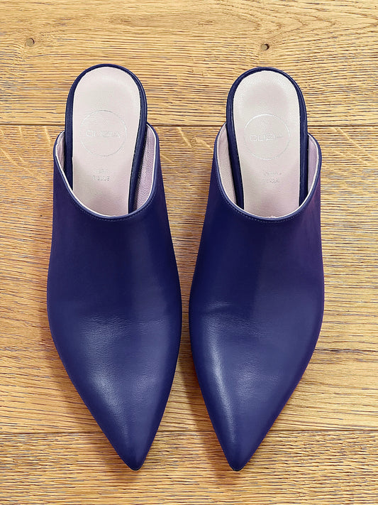 GABRY BLAUW LEER