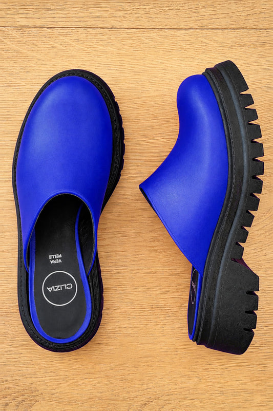 EXOTISCH BLAUW LERD