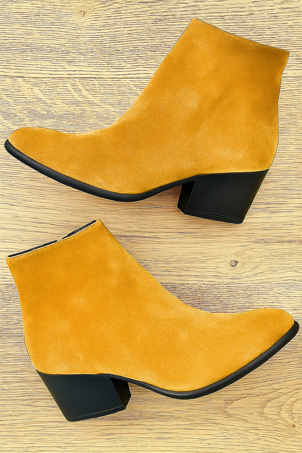 ELISABET CAMOSÇO OCRE