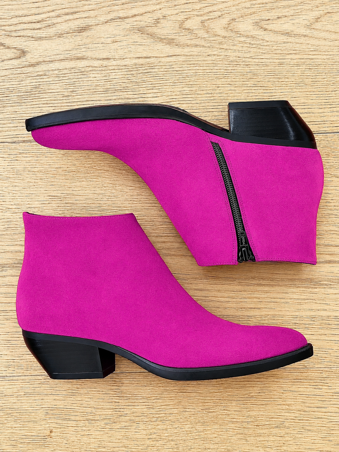 DANIEL CAMOSCIO FUCSIA