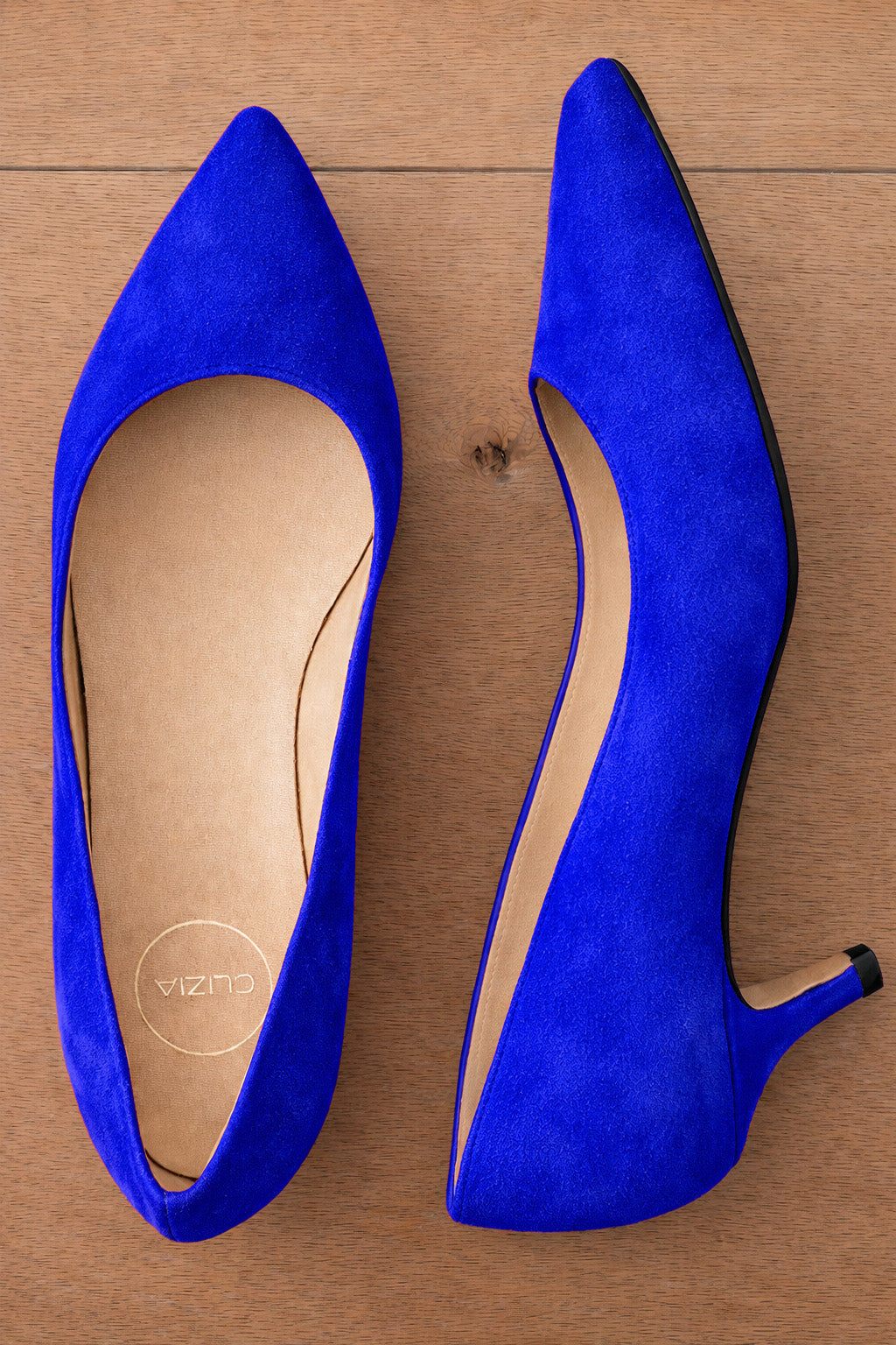 ANSEL CAMOSCIO BLUETTE