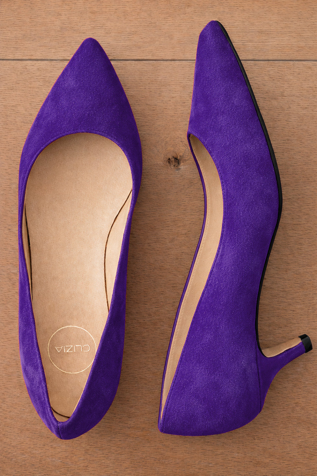 ANSEL CAMOSCIO VIOLA